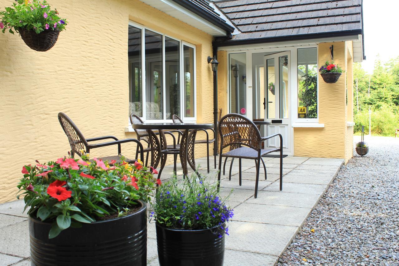 Pinewood Lodge Laragh Exteriér fotografie