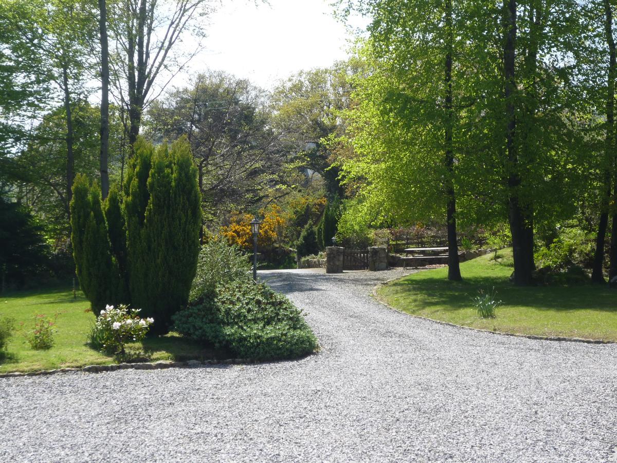 Pinewood Lodge Laragh Exteriér fotografie